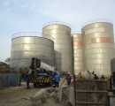 Vegetable Oil storage tanks
